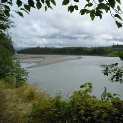 Hoh River from Oil City Trail