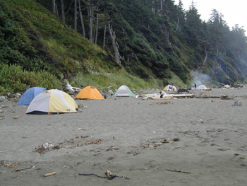 Multiple tents set up at Shi Shi Beach.