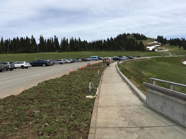 Parking lot with parking spaces coned off and used for sod storage.