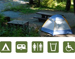 Tents and People in Sol Duc Campground