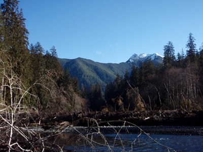A calm river with thick forested shores. A forested ridge rises in the background.