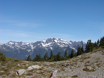 A view of a snowy mountain ridge as viewed from a high mountain meadow.