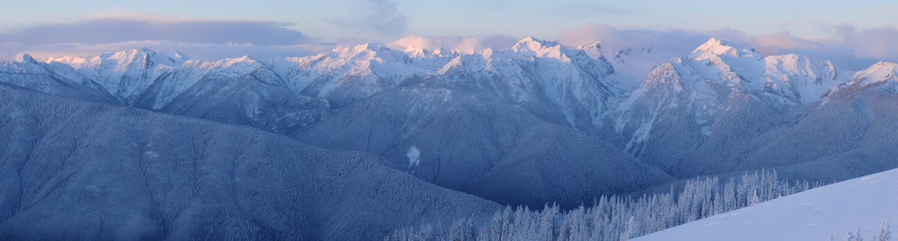 Snow capped mountain panorama.
