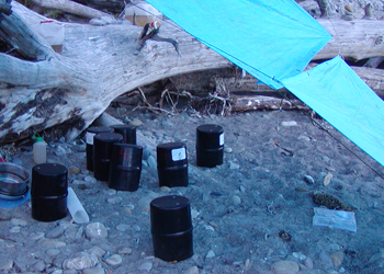 Bear cannisters sitting on rocky beach.