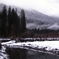 The Hoh River in Winter
