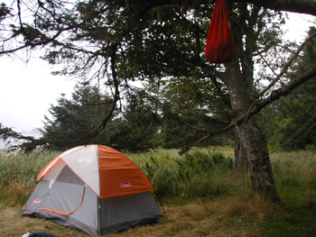 A tent in a wilderness campsite along the coast.