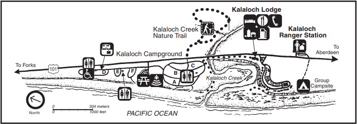 A map of the Kalaloch Ranger Station and Kalaloch Lodge area, including the Pacific Ocean, Highway 101, trails, and camping areas.