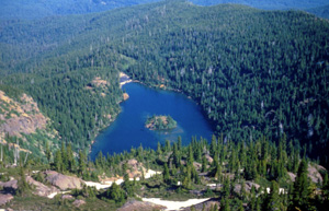 Lake Angeles as viewed from above on Klahane Ridge. Forest surrounds the lake and there is a forested island in the middle of the lake.