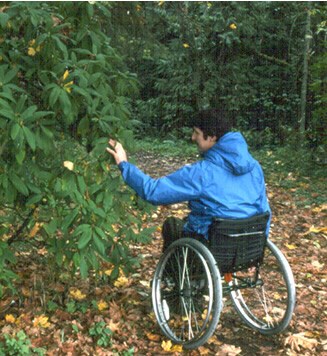 man in wheelchair along a wooded trail