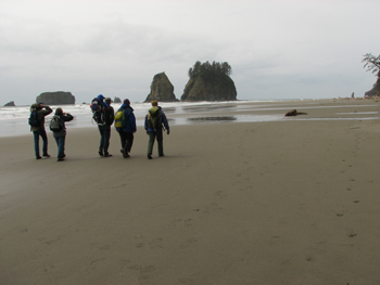 Five hikers walk along a large sandy portion of coast at Second Beach.