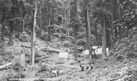 Government Camp, Oregon Caves late 1800s