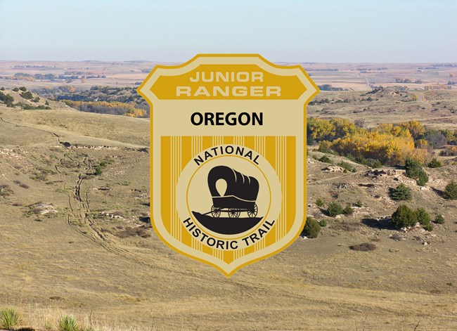 A junior ranger badge picture on a picture of a brown grassy hill.