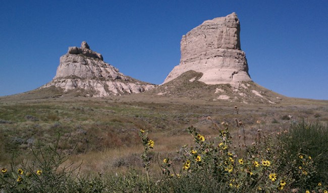 Two large tan rock pillars stand out of a green landscape with sunflowers in the foreground.