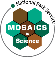 Mosaics in Science Logo