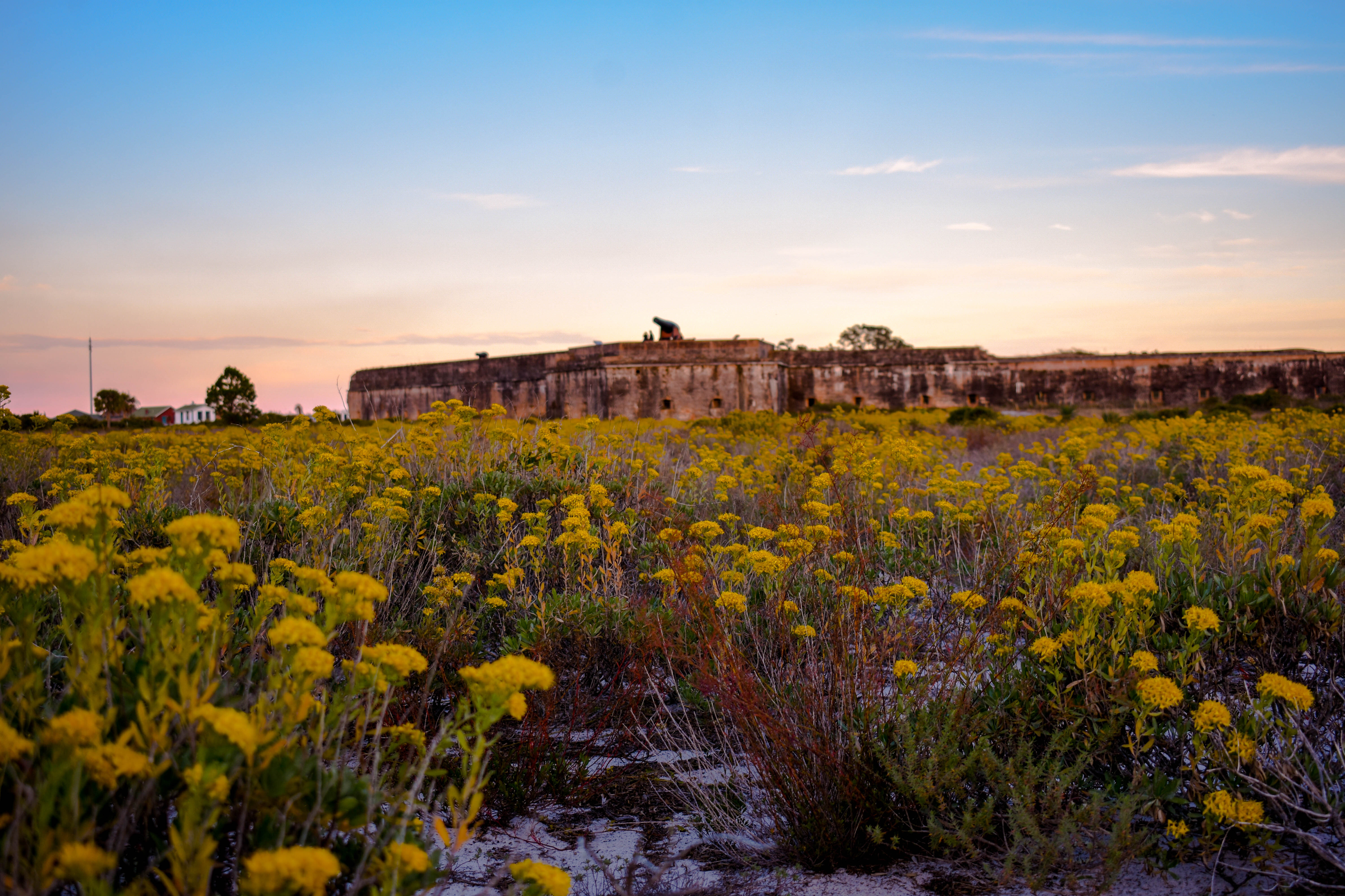 A photograph of flowers with Fort Pickens towering in the background.