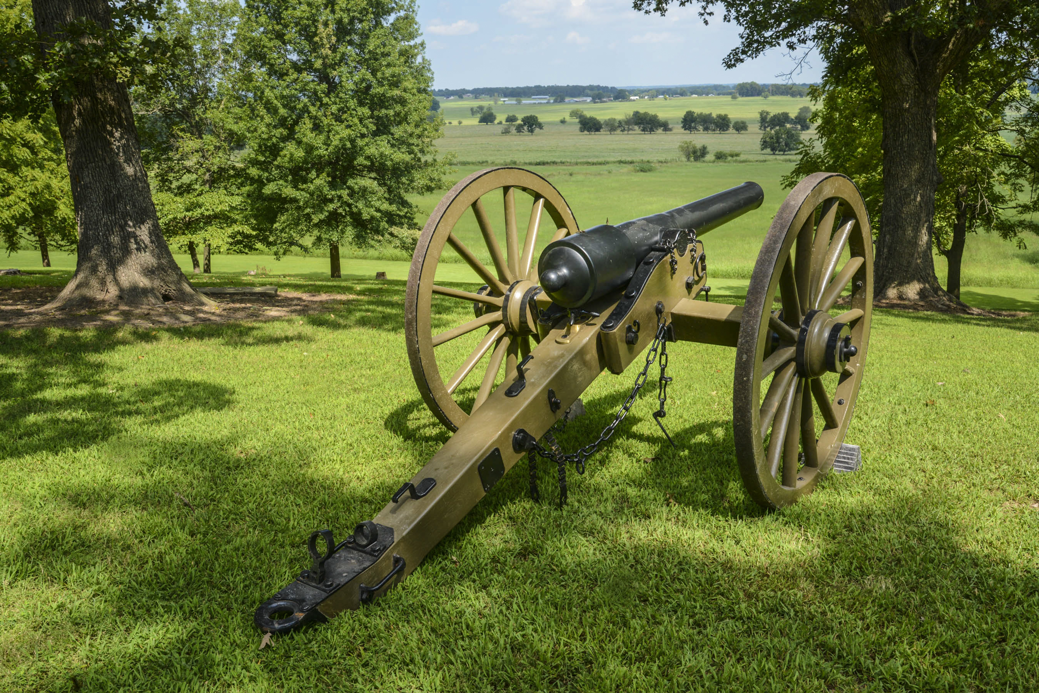 A black and brown 10-pound Parrot Rifle sits framed by two large trees to the left and right on tree-shaded, mowed grass hilltop overlooking green pastures separated by tree lines and distant buildings.