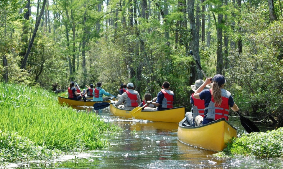 Group canoeing on a river through the woods