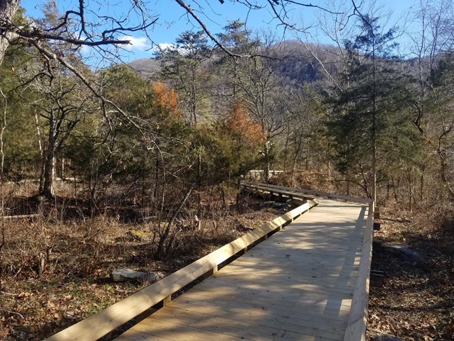 A wooden walkway runs through a forested canyon in late autumn.