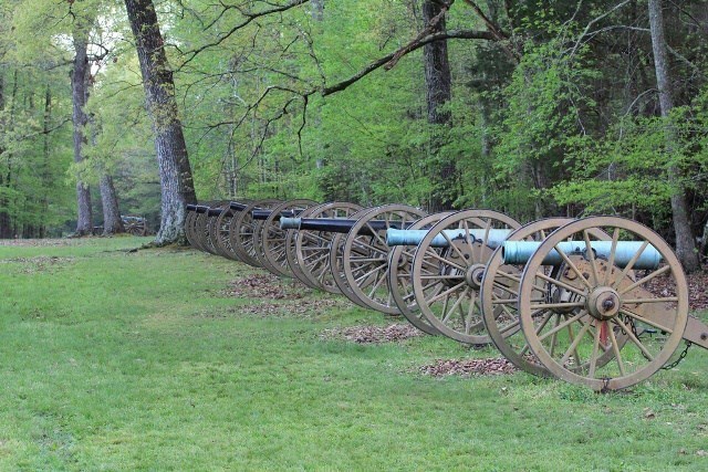 A line of cannons in a green field, backed by trees.