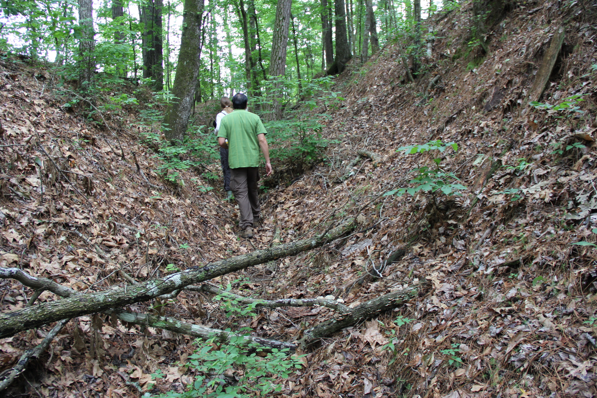 a man walks in a deep indentation in the ground, trees all around