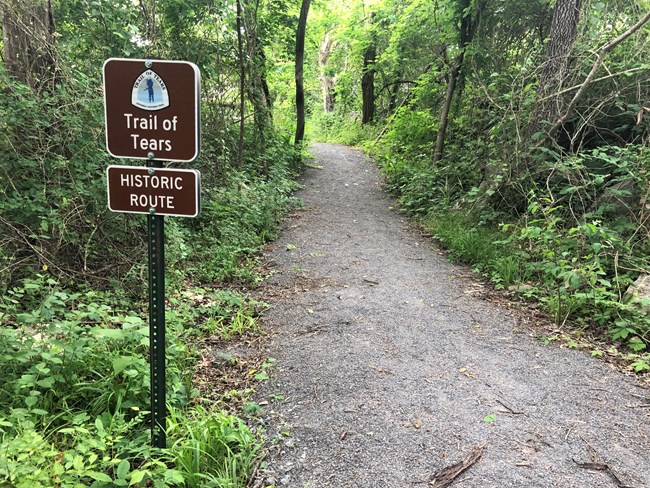 A brown sign with white text on a pole next to a trail in a forest.