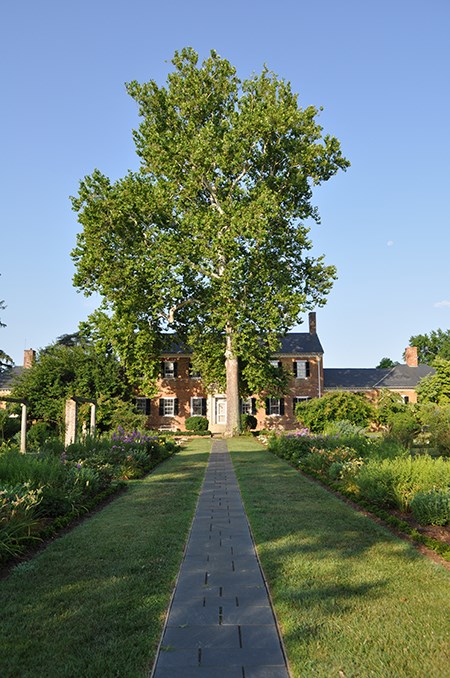 A straight path of symmetrical stone pavers leads between grass and formal gardens to a two-story brick house, shaded by a large tree.