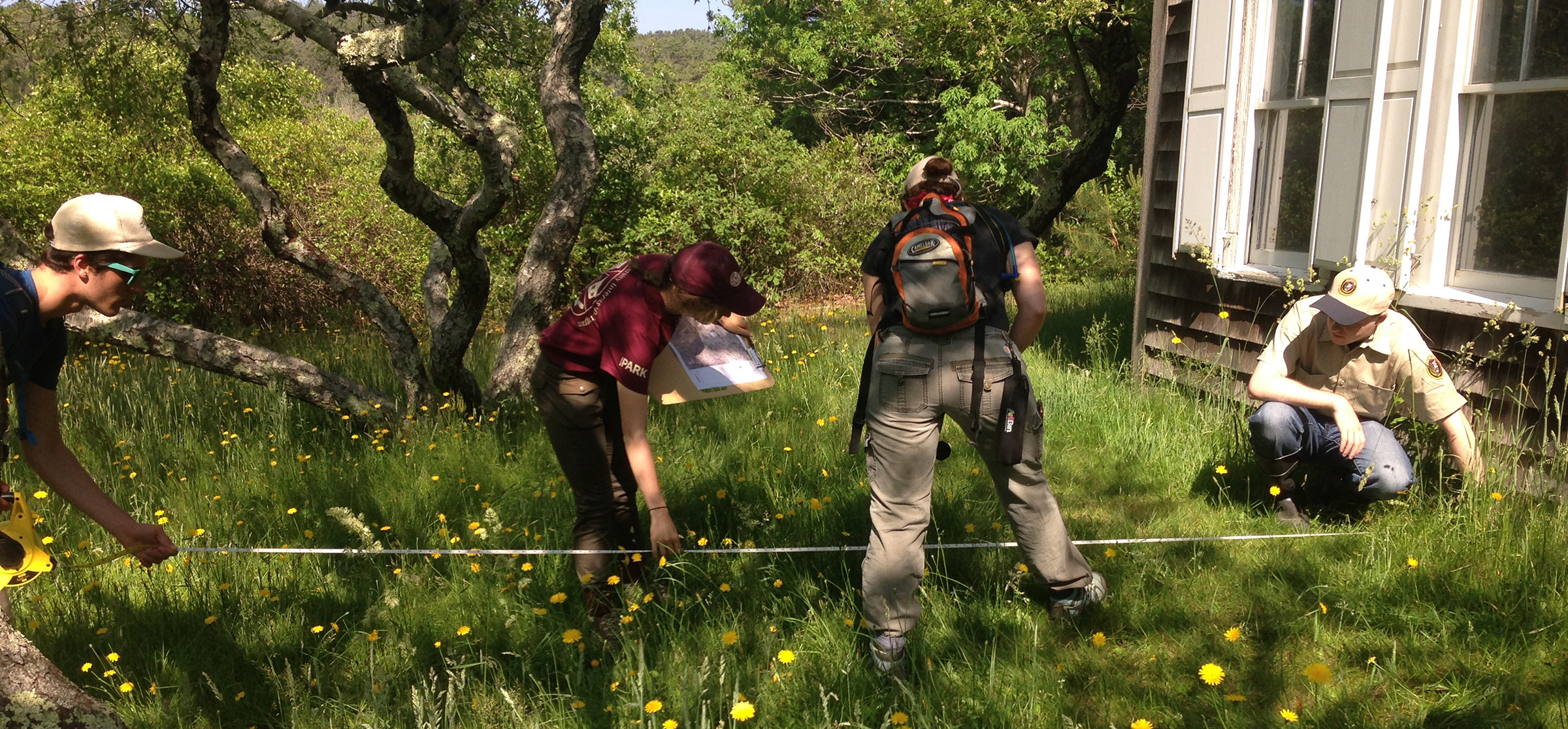 Four OCLP interns hold a tape measure low to the grass near the a house foundation