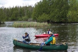 Kayak along St. Croix