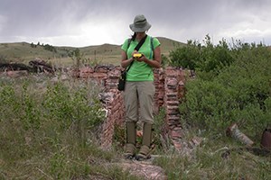 Archeologist uses a handheld GPS to map a partial stone wall next to where she stands. She is surrounded by tall grass and shrubs with hills in the distance.
