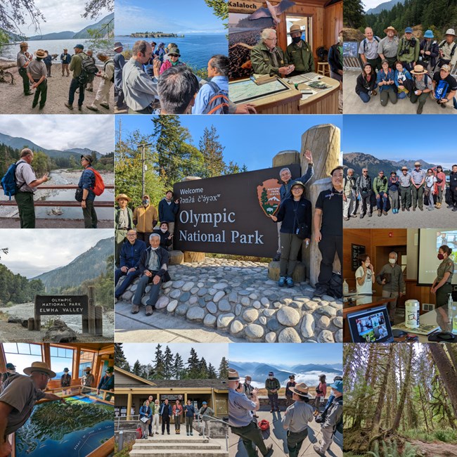 A collection of photos from the Olympic Seminar