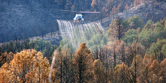 A helicopter spreads liquid herbicide over a burned landscape.