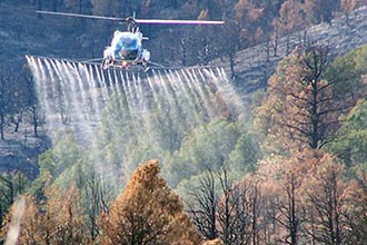 Plane dispersing herbicide into the forest