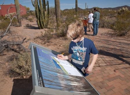 children working on junior ranger books