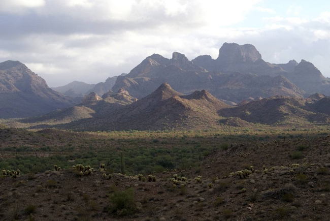 A flat desert basin with cacti abruptly meets pointed purple mountains in the distances.