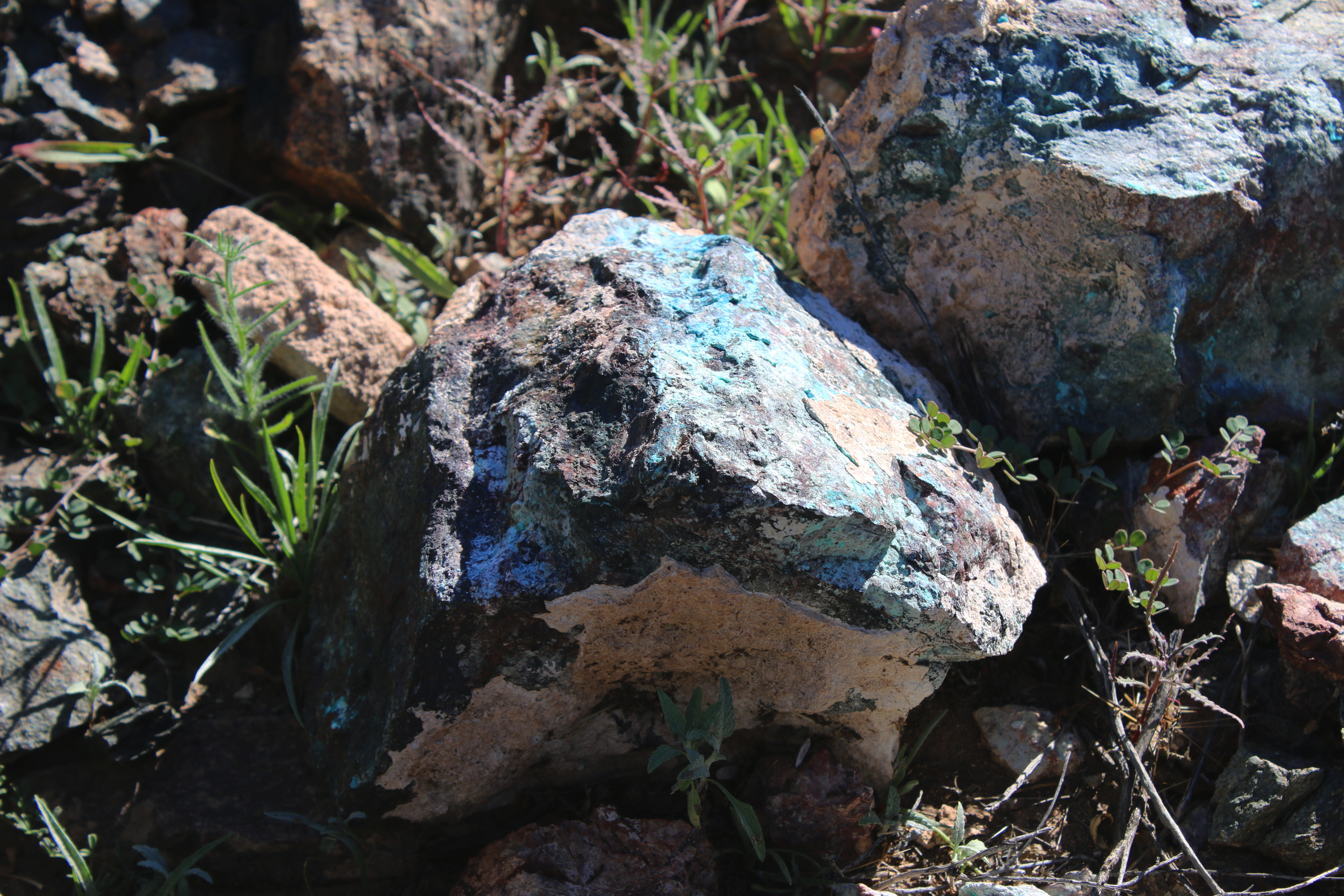 Pieces of gray chrysocolla with turquoise-colored streaks.