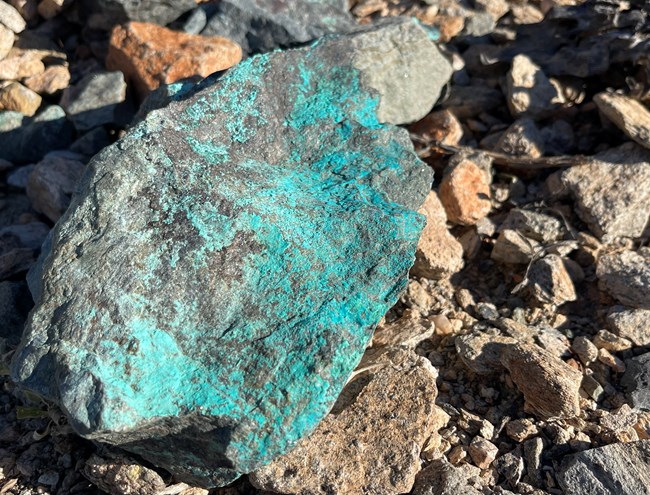 A piece of gray ore containing cyan colored chrysocolla.