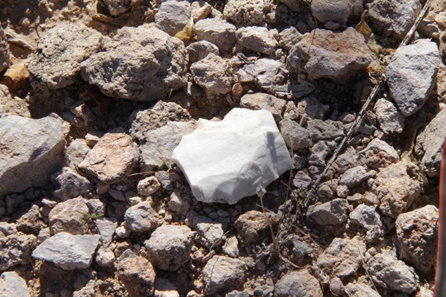 A piece of white quartzite, contrasting with the gray gravel.