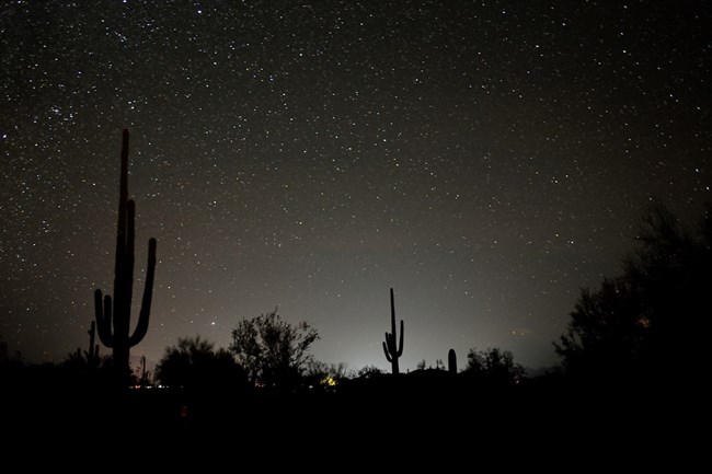 A picture of the night sky, full of stars, behind a silhouetted foreground with saguaro cactus. A glow of light is visible where the sky meets the ground, and a few disting points of light on the horizon.