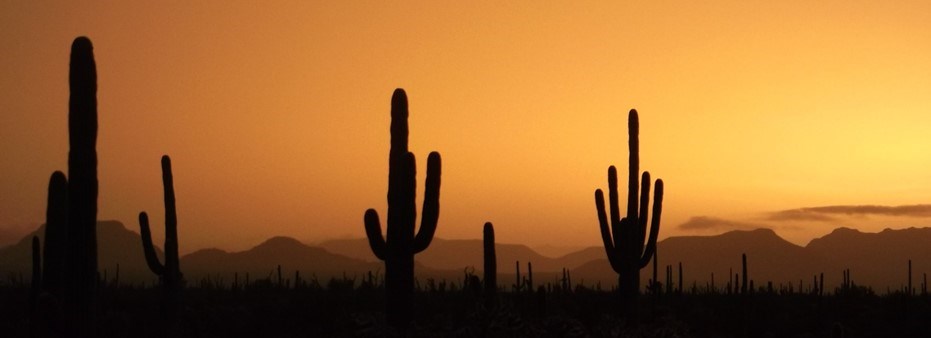 orange sunset and shadows across the vast desert