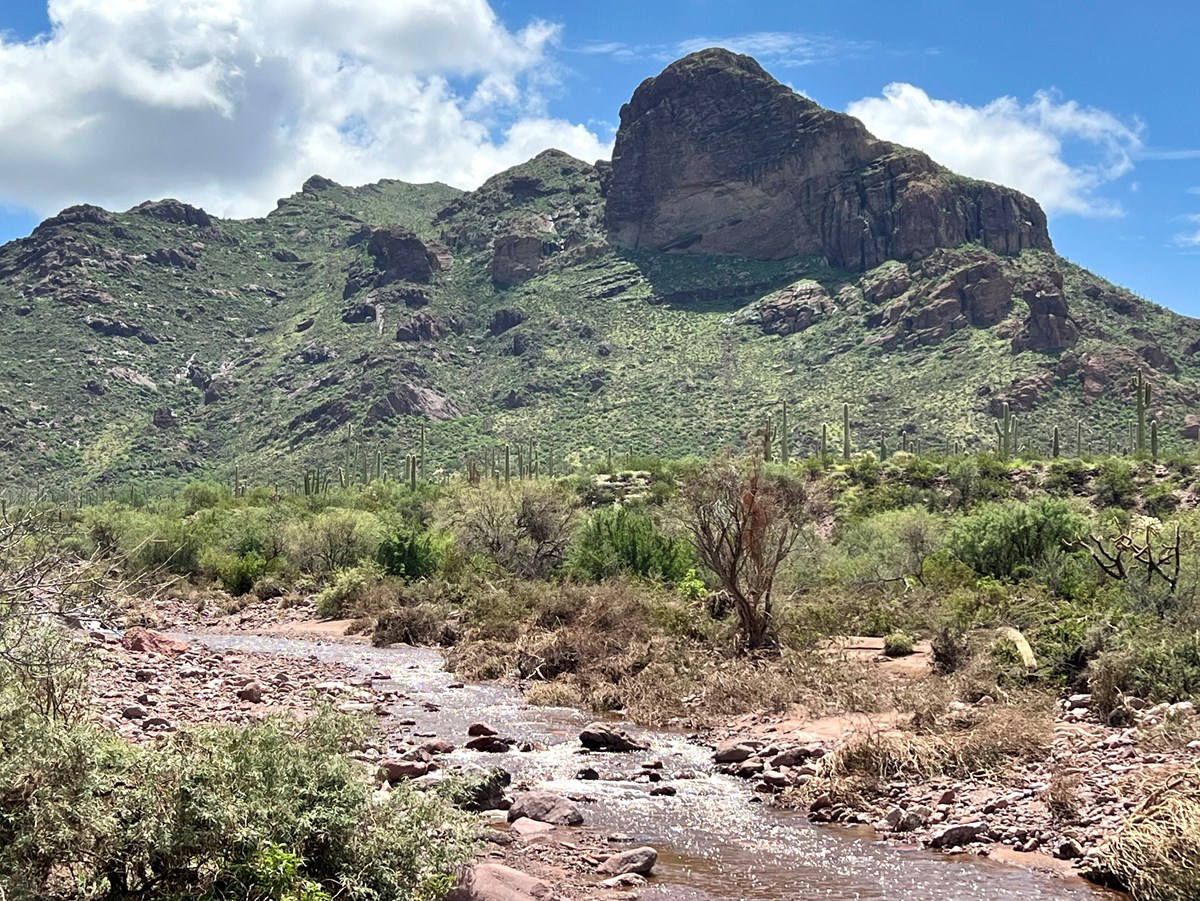 A mountain with a running wash surrounded by cacti