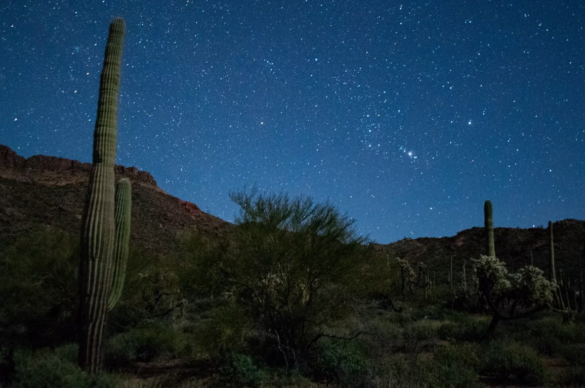 Stars light up the sky with saguaro underneath.
