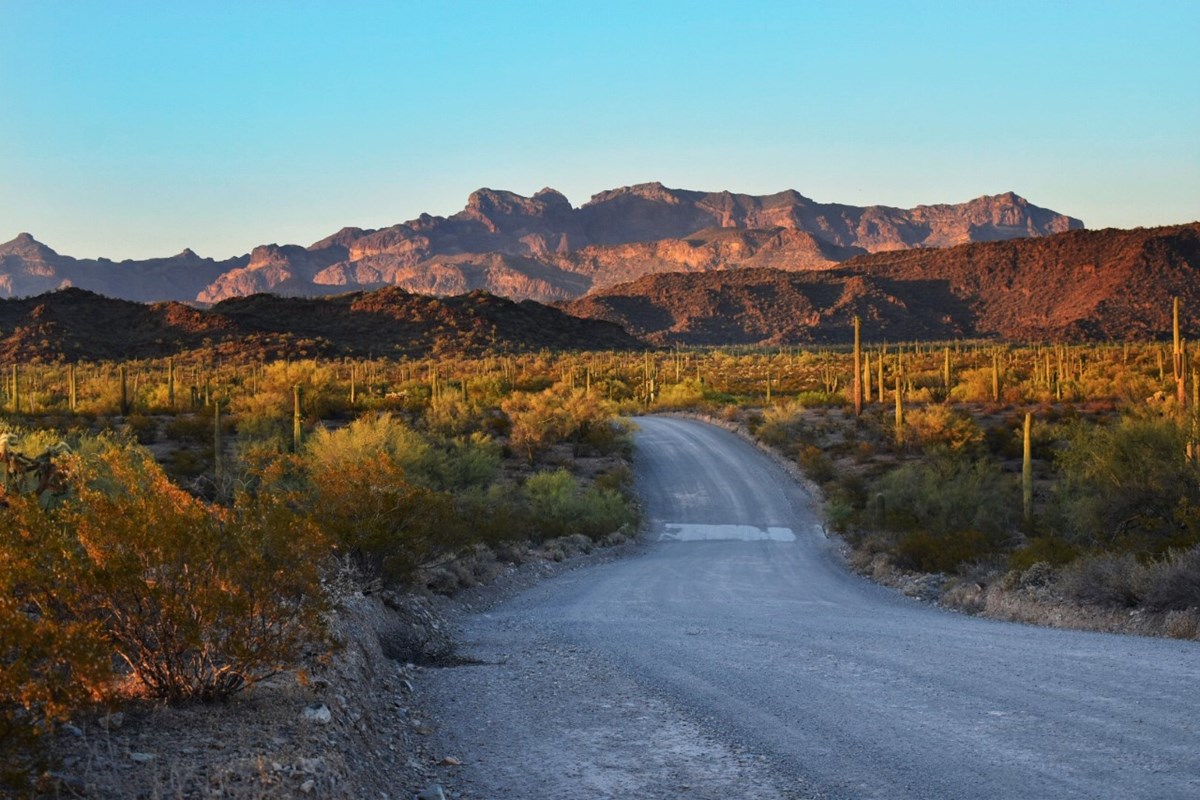 Dirt road leading towards rocky, reddish colored mountains amidst a desert landscape.