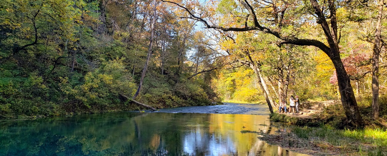 A deep, blue spring flows into a forest with rich fall colors. A small group watch the water from a bank.