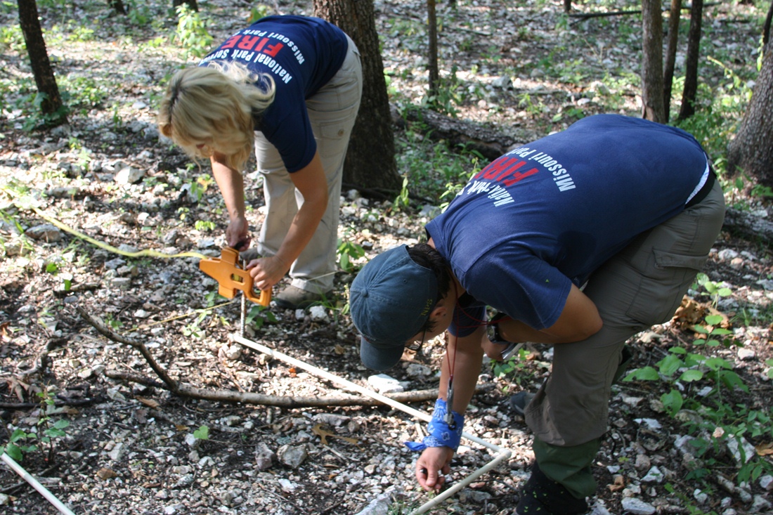two fire effects monitors survey an area of the forest recently burned during a prescribed burn