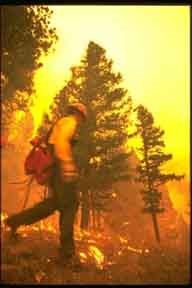 Image of firefighter running in burning forest
