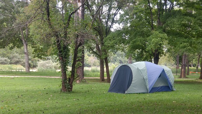 Camping tent set up on park grounds