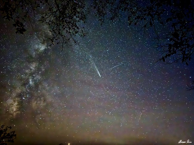 A night sky photo of a dense starscape with a comet int he center of the frame. The Milky Way extends from the bottom left to the top-center-left. Lingering skyglow from sunset at the bottomo of the frame, silhouettes of tree branches intrude from the top