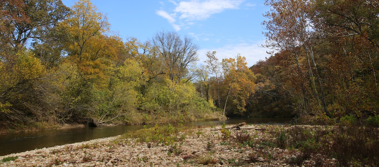 A gravel bar along a river, lined with trees.