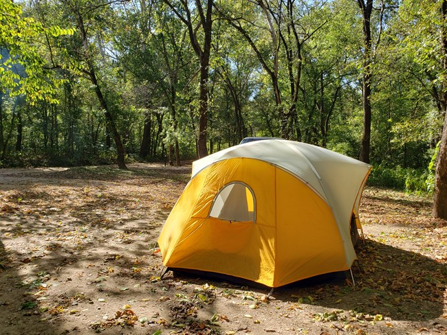 A yellow tent with canopy in a clear forest area