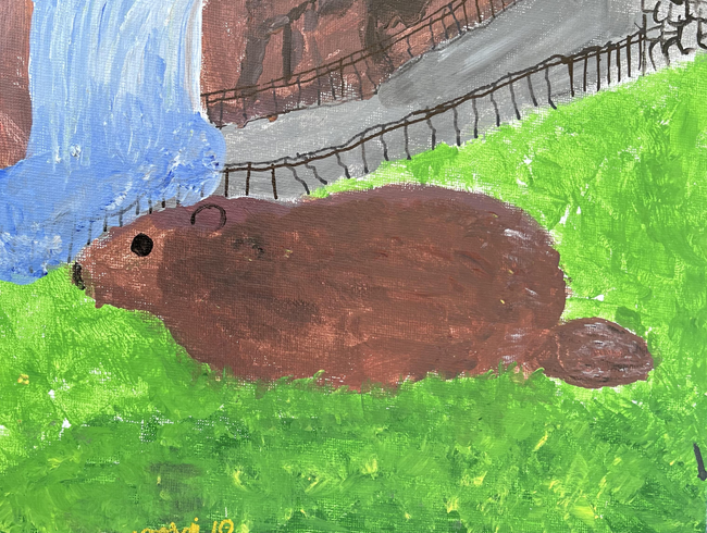 a brown groundhog on grass with the waterfall in the background